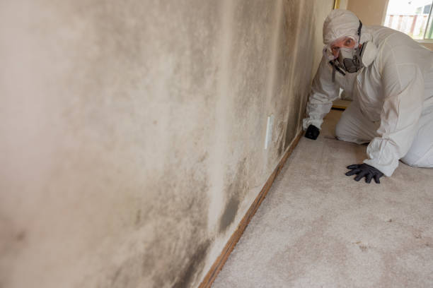 Best Mold-Related Health Consultation  in Topeka, KS