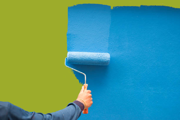 Best Basement Mold Removal  in Topeka, KS